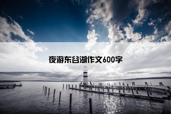 夜游东谷湖作文600字