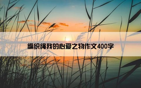 编织绳我的心爱之物作文400字