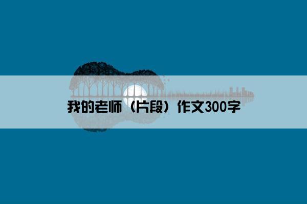 我的老师（片段）作文300字