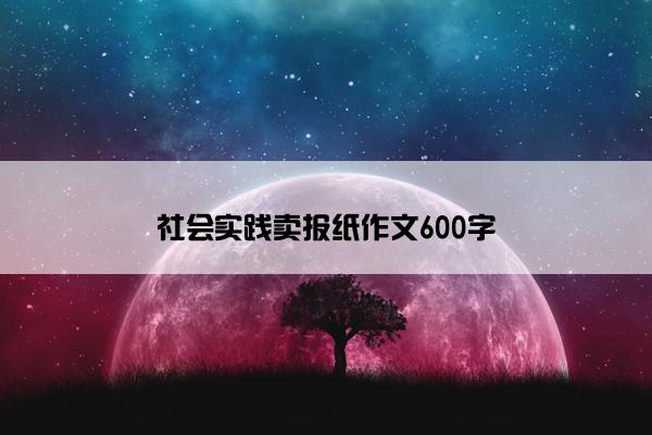 社会实践卖报纸作文600字