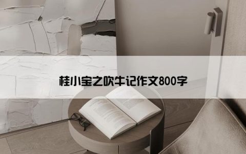 桂小宝之吹牛记作文800字