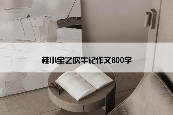 桂小宝之吹牛记作文800字