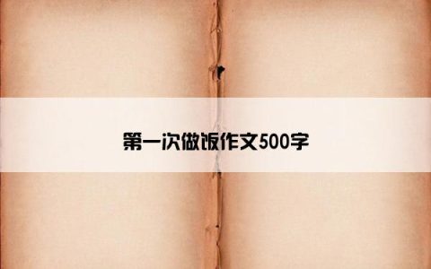 第一次做饭作文500字