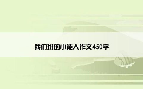 我们班的小能人作文450字
