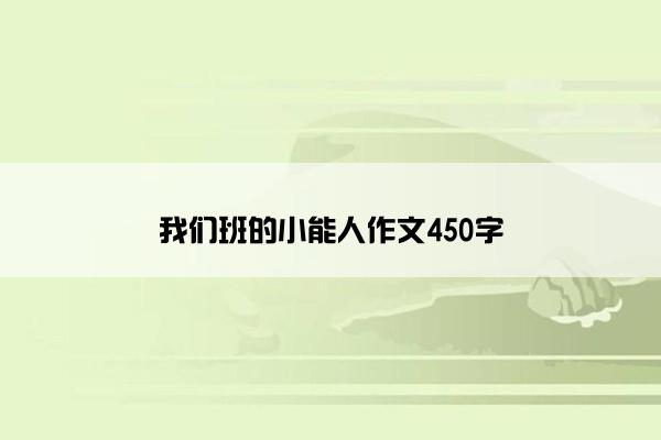 我们班的小能人作文450字