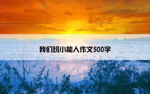 我们班小能人作文500字