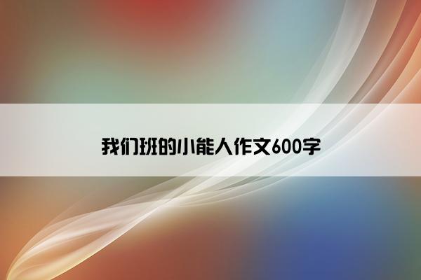 我们班的小能人作文600字