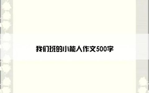 我们班的小能人作文500字