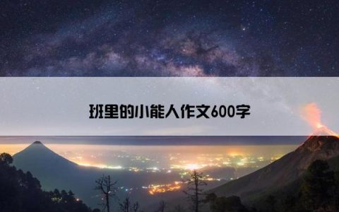 班里的小能人作文600字