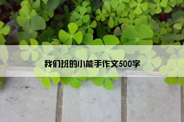 我们班的小能手作文500字