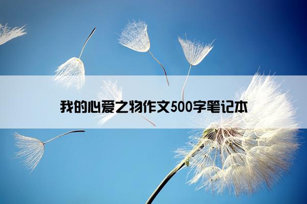 我的心爱之物作文500字笔记本