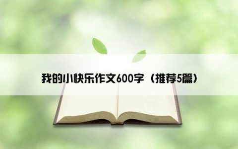 我的小快乐作文600字（推荐5篇）