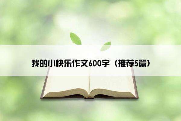 我的小快乐作文600字（推荐5篇）