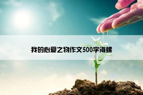 我的心爱之物作文500字海螺