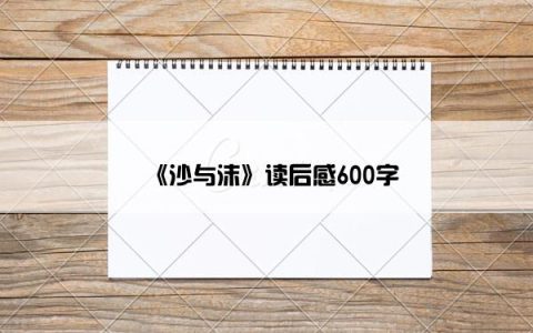 《沙与沫》读后感600字