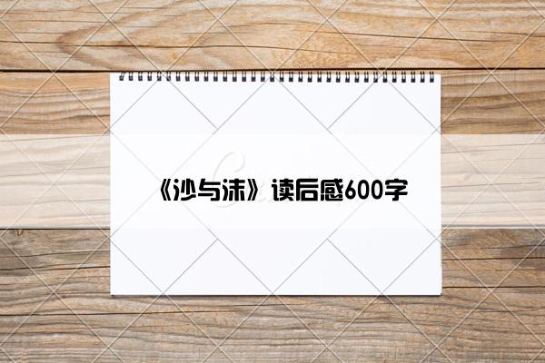 《沙与沫》读后感600字