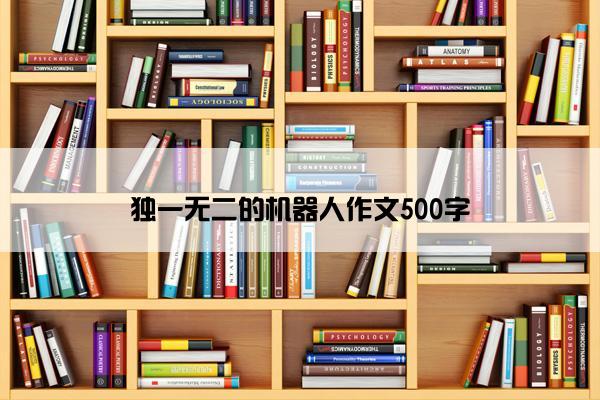 独一无二的机器人作文500字