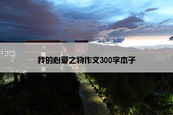 我的心爱之物作文300字本子