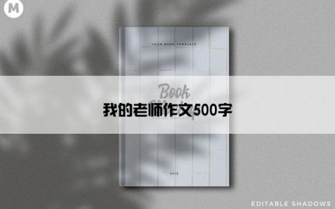 我的老师作文500字
