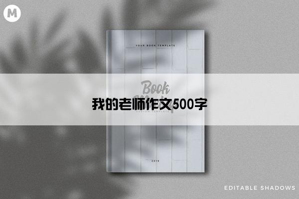 我的老师作文500字