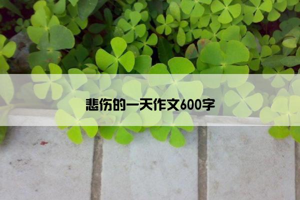 悲伤的一天作文600字