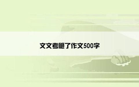 文文考砸了作文500字