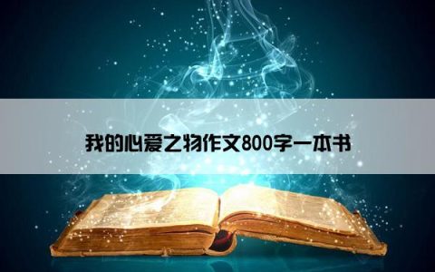 我的心爱之物作文800字一本书