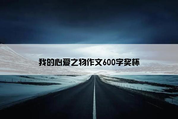 我的心爱之物作文600字奖杯