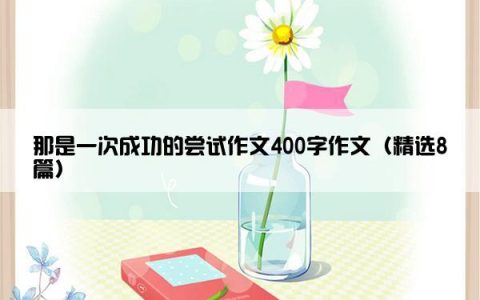 那是一次成功的尝试作文400字作文（精选8篇）