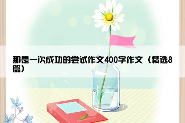 那是一次成功的尝试作文400字作文（精选8篇）