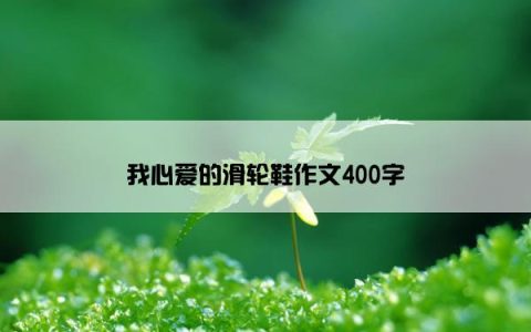 我心爱的滑轮鞋作文400字