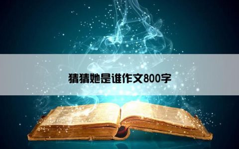 猜猜她是谁作文800字