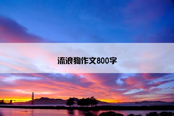 流浪狗作文800字