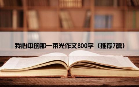 我心中的那一束光作文800字（推荐7篇）