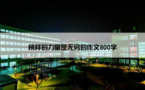 榜样的力量是无穷的作文800字