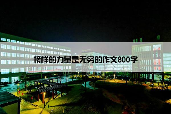 榜样的力量是无穷的作文800字