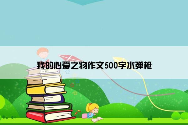 我的心爱之物作文500字水弹枪