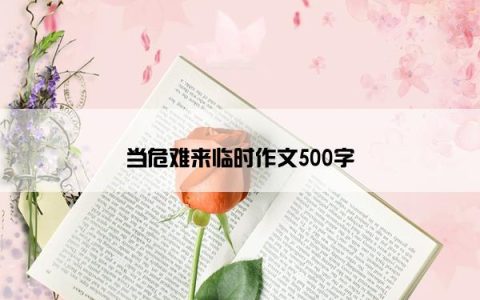 当危难来临时作文500字