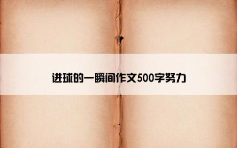 进球的一瞬间作文500字努力