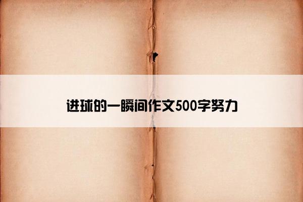 进球的一瞬间作文500字努力