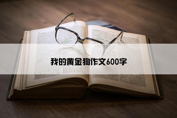 我的黄金狗作文600字