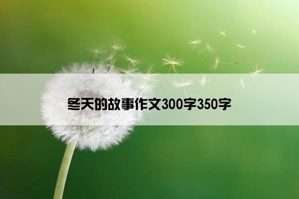 冬天的故事作文300字350字