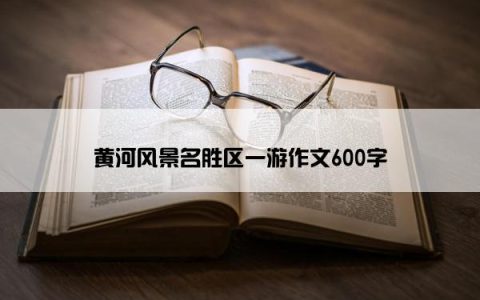 黄河风景名胜区一游作文600字