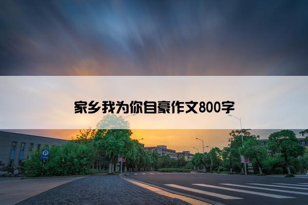 家乡我为你自豪作文800字