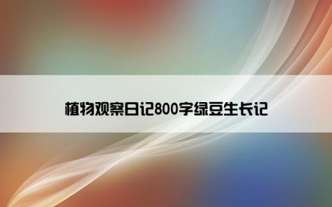 植物观察日记800字绿豆生长记