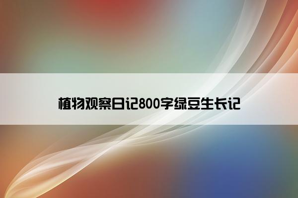 植物观察日记800字绿豆生长记