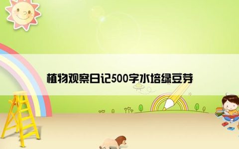 植物观察日记500字水培绿豆芽