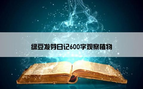 绿豆发芽日记600字观察植物