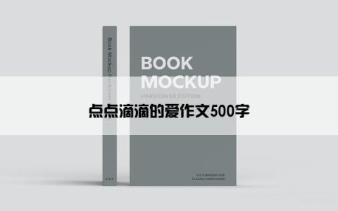 点点滴滴的爱作文500字