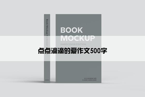 点点滴滴的爱作文500字